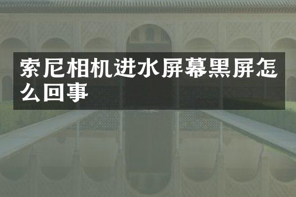 索尼相机进水屏幕黑屏怎么回事