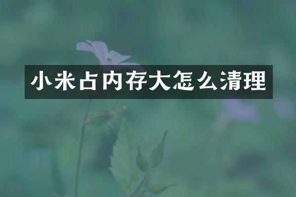 小米占内存大怎么清理