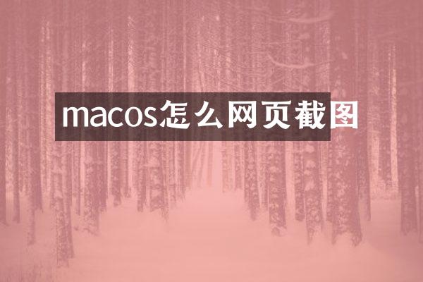 macos怎么网页截图