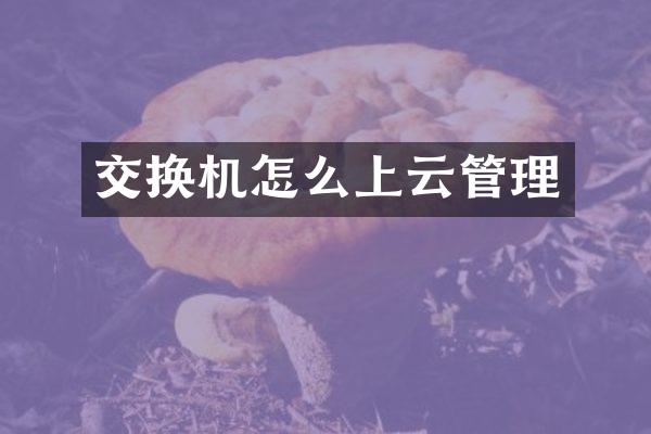 交换机怎么上云管理