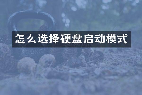 怎么选择硬盘启动模式