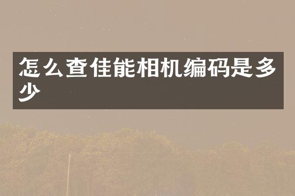 怎么查佳能相机编码是多少