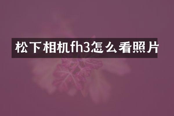松下相机fh3怎么看照片