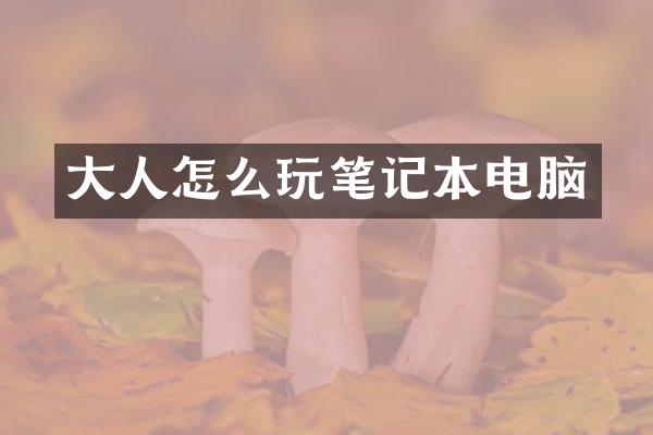 大人怎么玩笔记本电脑