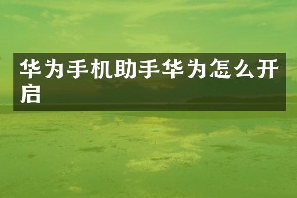 华为手机助手华为怎么开启