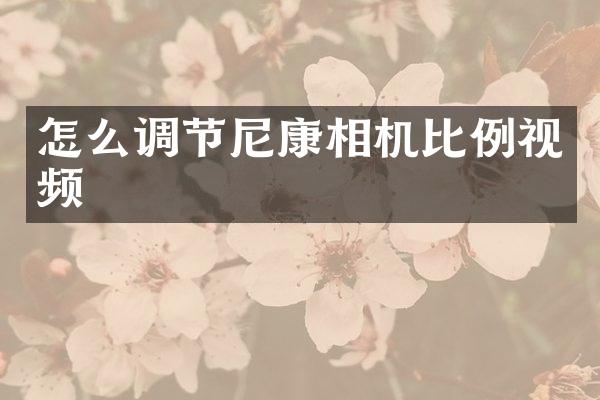 怎么调节尼康相机比例视频