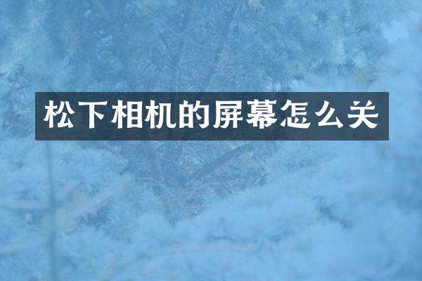 松下相机的屏幕怎么关