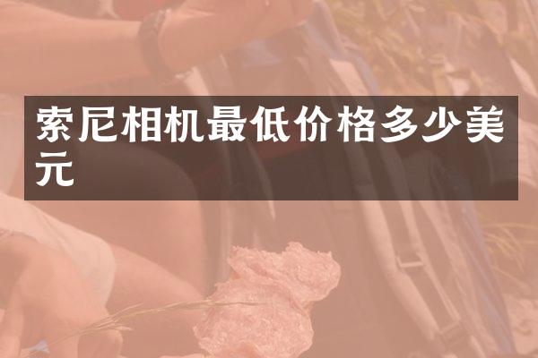 索尼相机最低价格多少美元