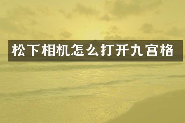 松下相机怎么打开九宫格
