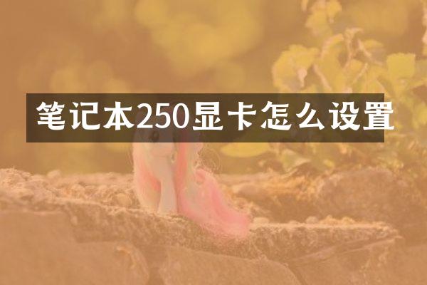 笔记本250显卡怎么设置