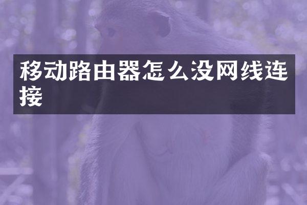 移动路由器怎么没网线连接