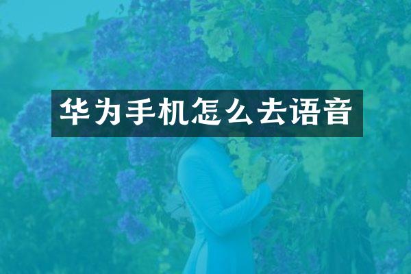 华为手机怎么去语音