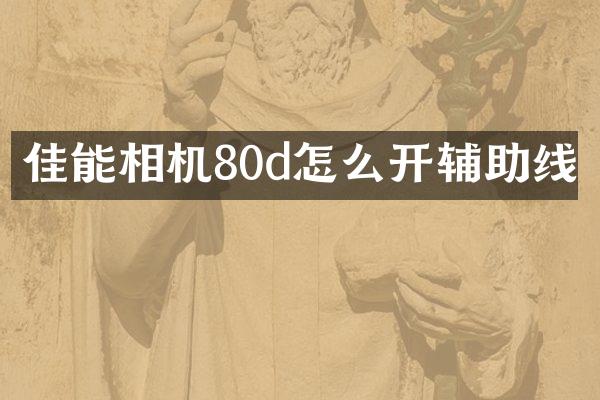 佳能相机80d怎么开辅助线