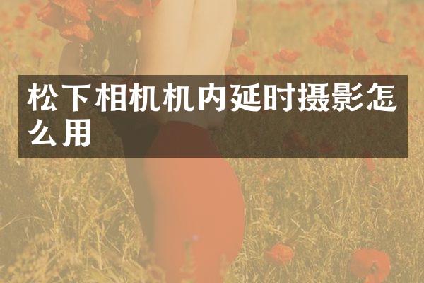 松下相机机内延时摄影怎么用