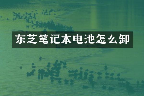 东芝笔记本电池怎么卸