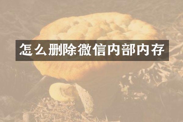 怎么删除微信内部内存