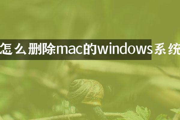 怎么删除mac的windows系统