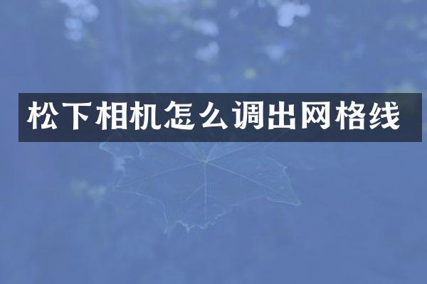 松下相机怎么调出网格线