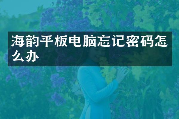 海韵平板电脑忘记密码怎么办