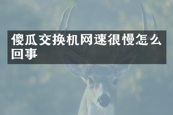 傻瓜交换机网速很慢怎么回事