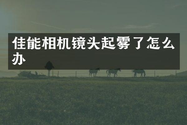 佳能相机镜头起雾了怎么办