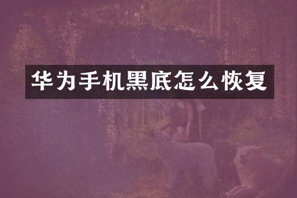 华为手机黑底怎么恢复