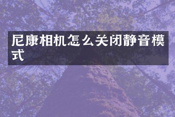 尼康相机怎么关闭静音模式