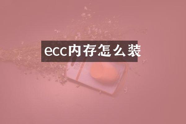 ecc内存怎么装