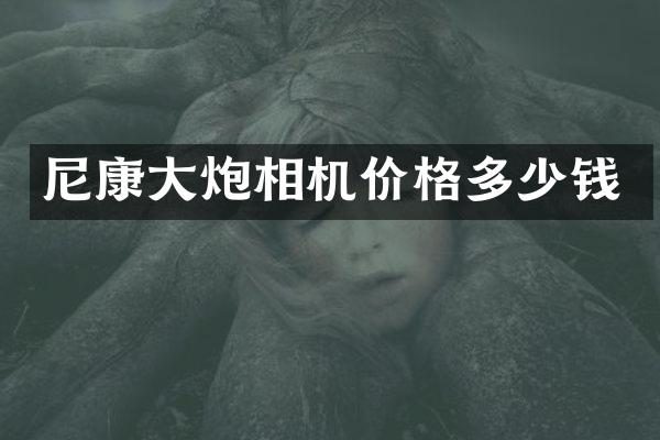 尼康大炮相机价格多少钱