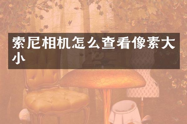索尼相机怎么查看像素大小