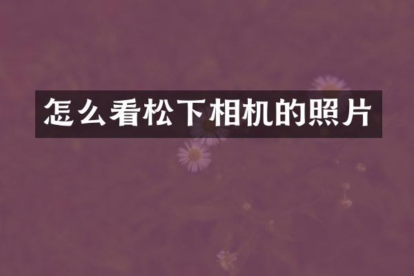 怎么看松下相机的照片
