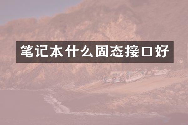 笔记本什么固态接口好