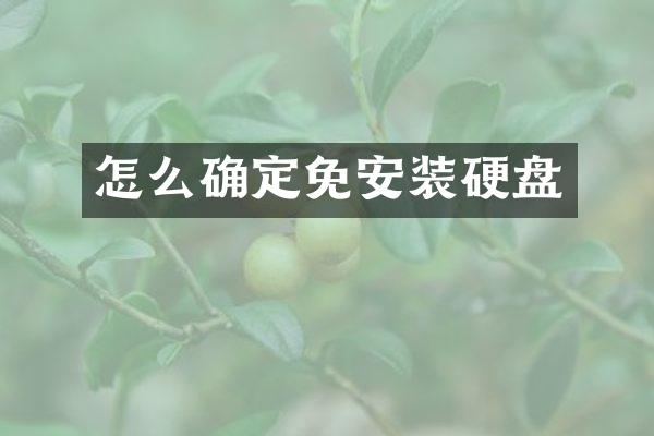 怎么确定免安装硬盘