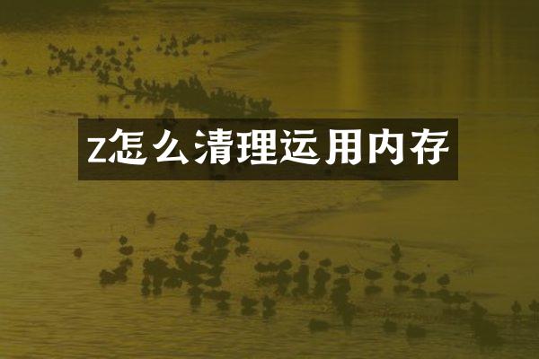 z怎么清理运用内存