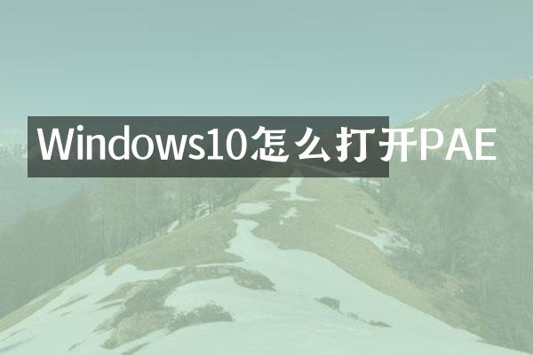 Windows10怎么打开PAE