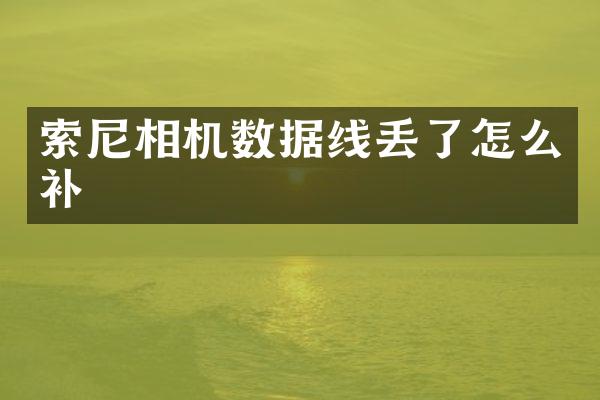 索尼相机数据线丢了怎么补