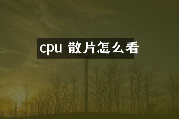 cpu 散片怎么看