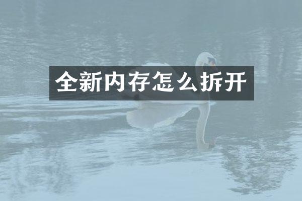 全新内存怎么拆开