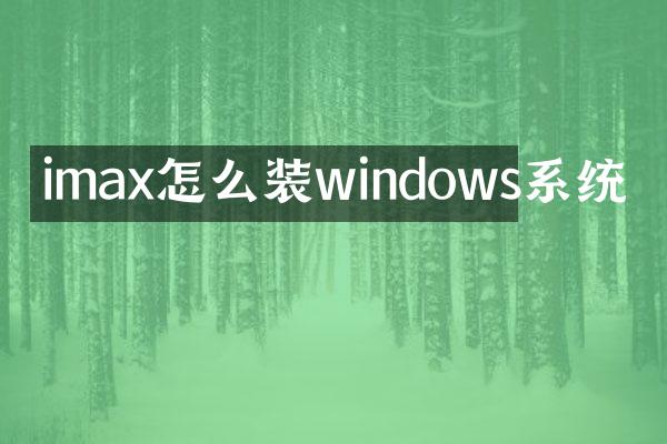 imax怎么装windows系统