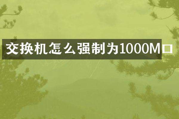 交换机怎么强制为1000M口