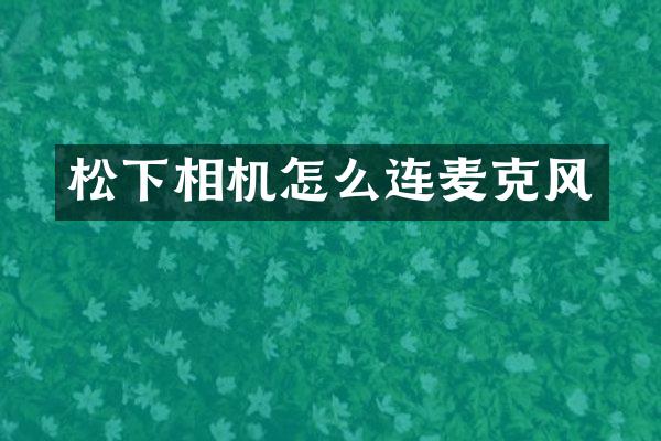 松下相机怎么连麦克风