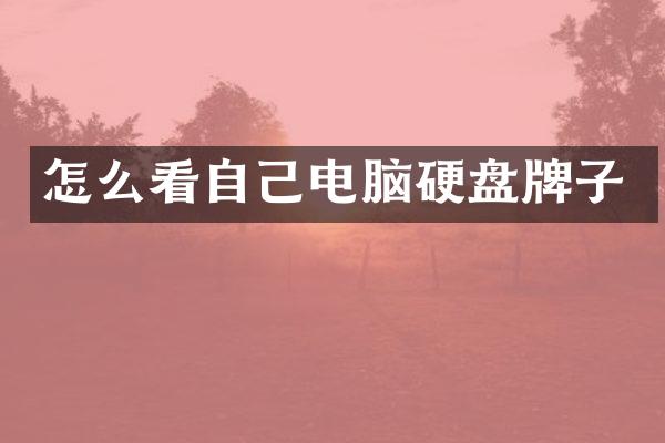 怎么看自己电脑硬盘牌子