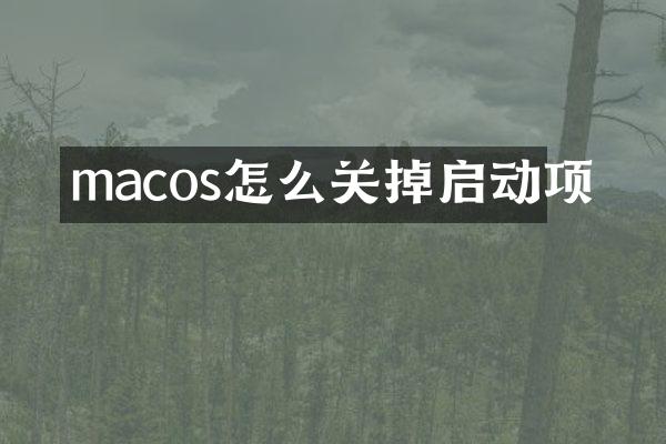 macos怎么关掉启动项