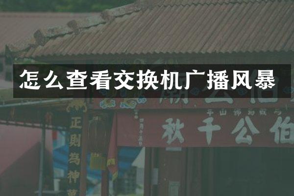 怎么查看交换机广播风暴