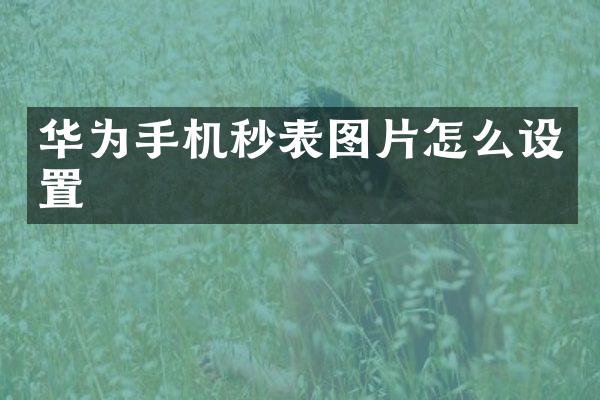 华为手机秒表图片怎么设置