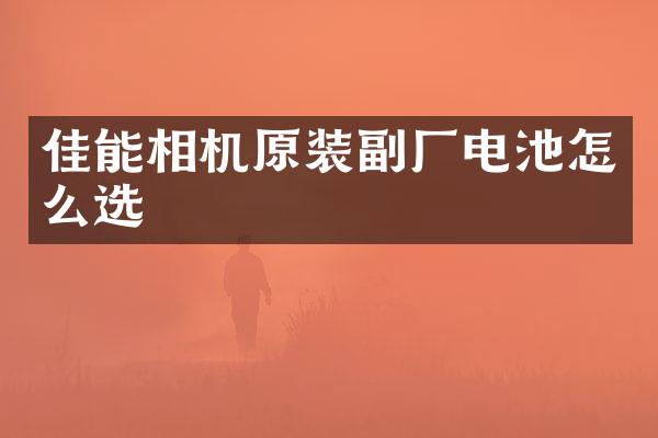 佳能相机原装副厂电池怎么选