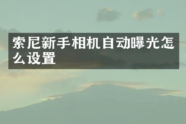 索尼新手相机自动曝光怎么设置