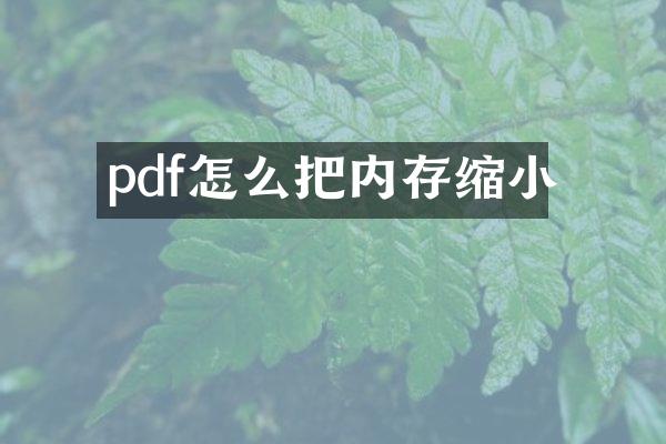 pdf怎么把内存缩小