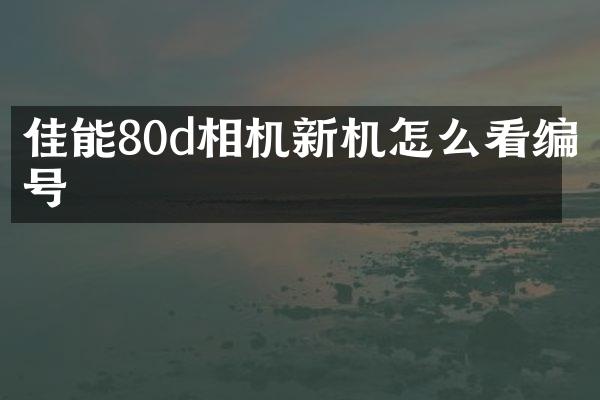 佳能80d相机新机怎么看编号
