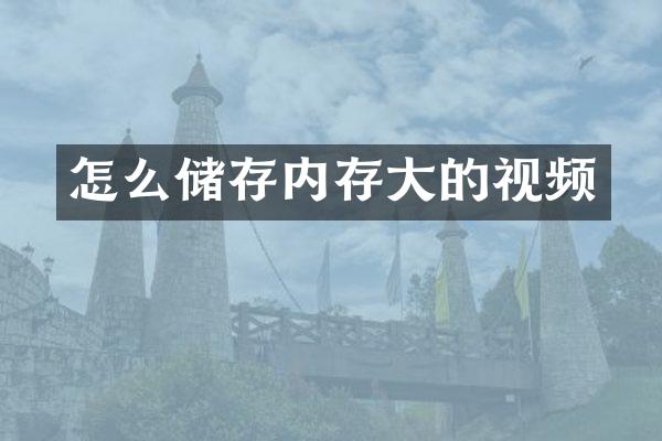 怎么储存内存大的视频